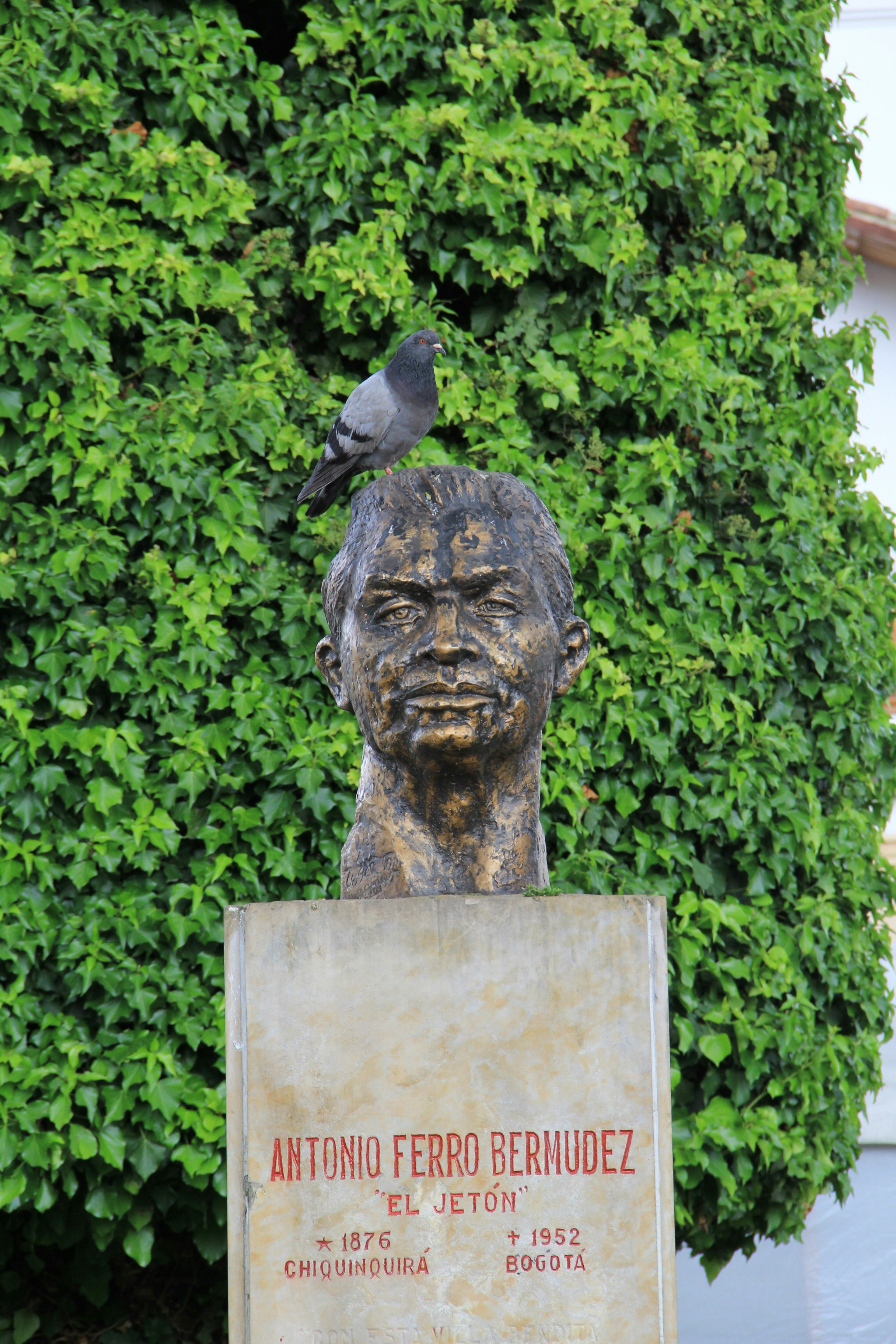 black bird on white concrete statue